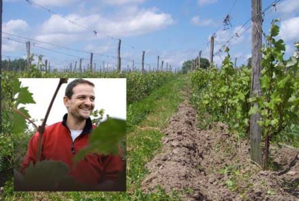 Loïc Mahé : un vigneron loin des clichés