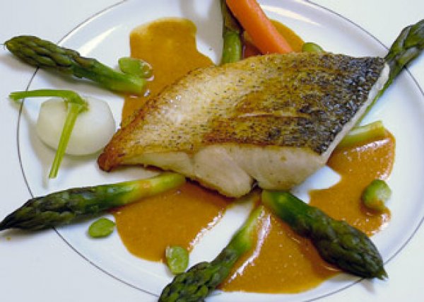 Vin et Dos de Sandre