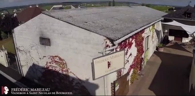 Vendanges au Domaine Mabileau